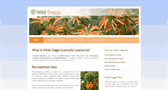 Desktop Screenshot of leonotis.co.za